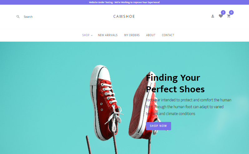 camshoes.png